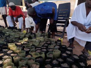 WhatsApp Image 2022-10-13 at 00.30.15